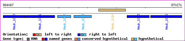 gene map