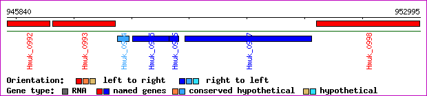 gene map