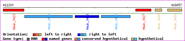 gene map