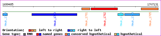 gene map