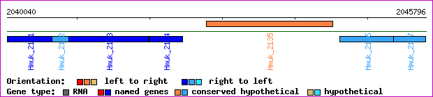 gene map