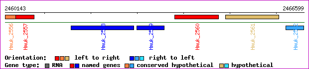 gene map