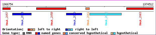 gene map