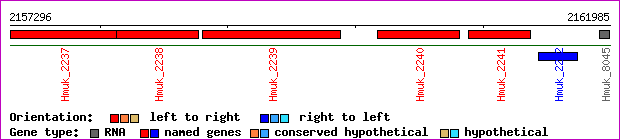 gene map