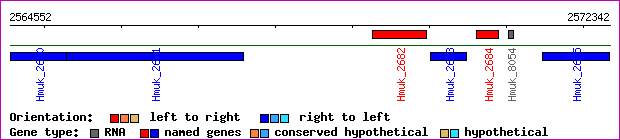 gene map