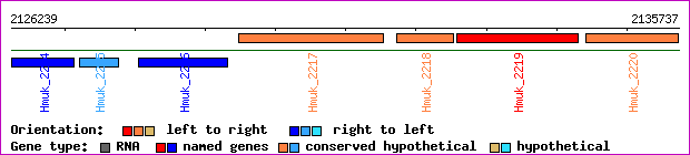 gene map