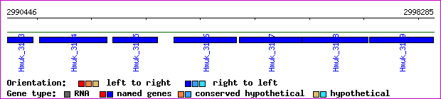 gene map