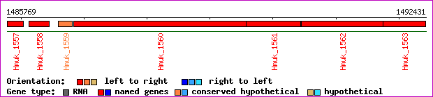 gene map