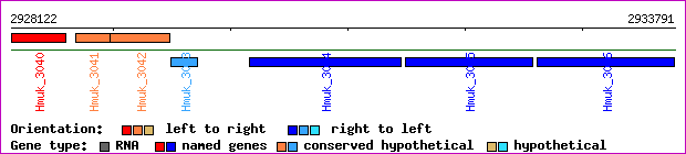 gene map