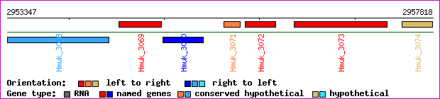 gene map