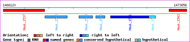 gene map