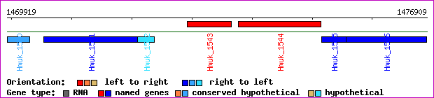 gene map