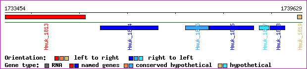 gene map