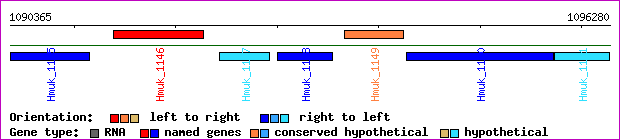 gene map