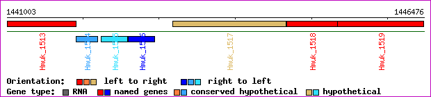 gene map