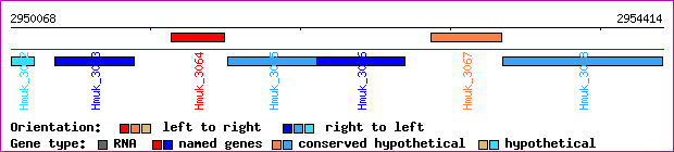 gene map