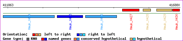 gene map