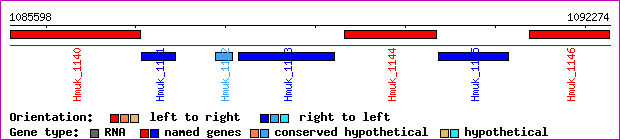 gene map