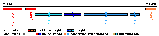 gene map