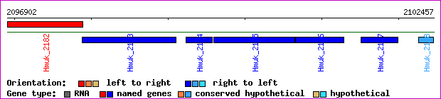 gene map