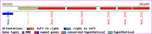 gene map