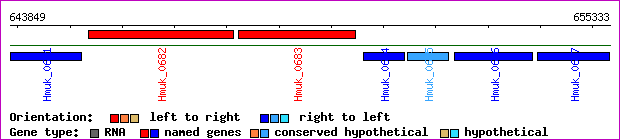 gene map