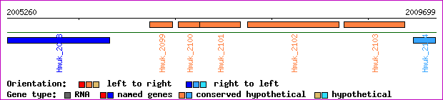 gene map