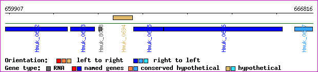 gene map