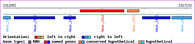 gene map