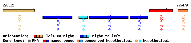 gene map