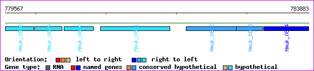 gene map