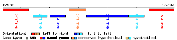 gene map