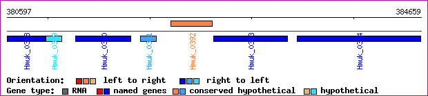 gene map