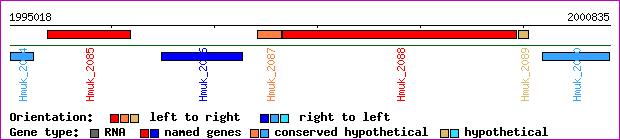 gene map