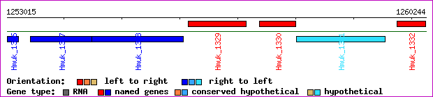 gene map