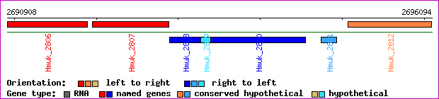 gene map