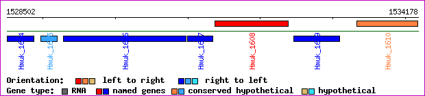gene map