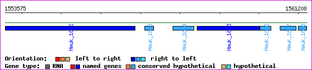 gene map