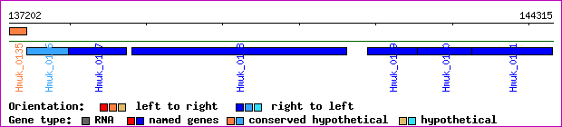 gene map
