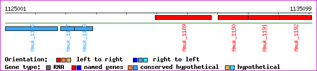 gene map