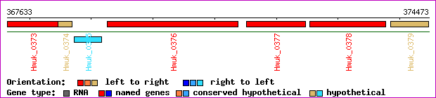 gene map