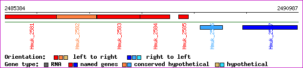 gene map