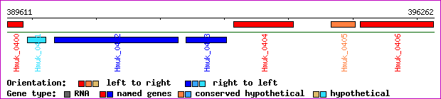 gene map