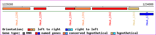 gene map