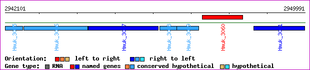 gene map
