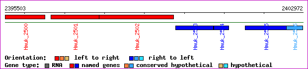 gene map