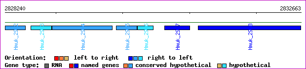 gene map