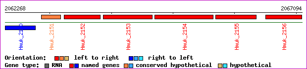 gene map