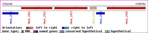 gene map