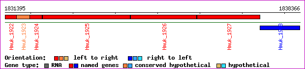 gene map